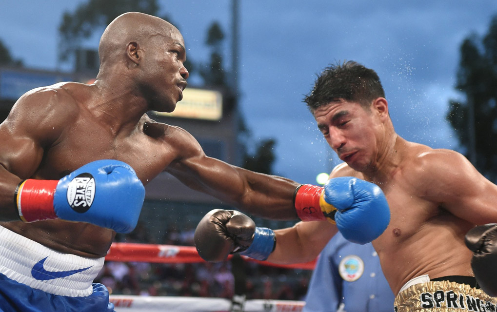 tim-bradley-vs-jessie-vargas tim-bradley-vs-jessie-vargas