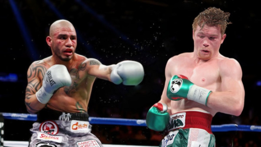 cotto canelo