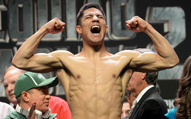 vargas vargas