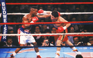 chavez-taylor